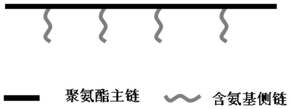 Polyurethane with amino-containing side chain and preparation method thereof