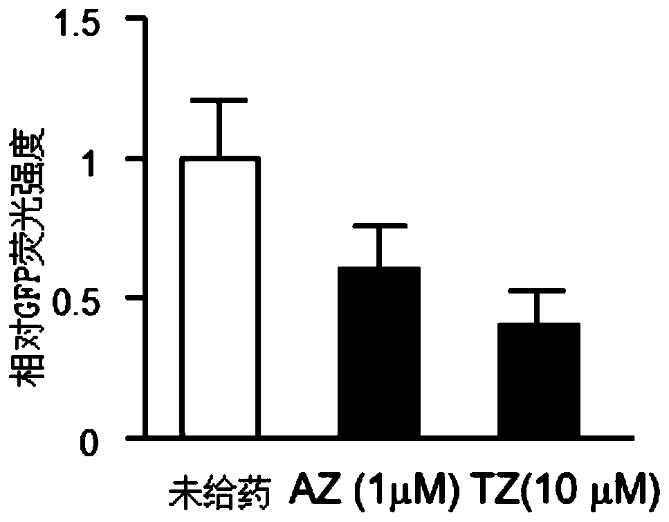 Application of alfuzosin compound in prevention or treatment of Alzheimer's disease and related diseases
