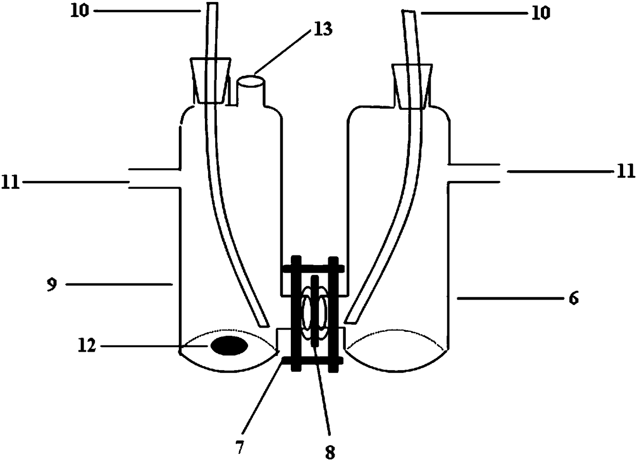 An evaluation device and evaluation method for the performance of solid polymer electrolyte fuel cells and water electrolysis electrocatalysts