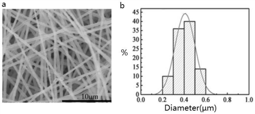 A kind of amphiphilic polymer for promoting stem cell interface adhesion growth and its preparation method and application