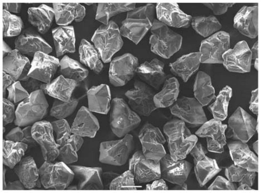 Polycrystalline resin diamond abrasive and preparation method thereof