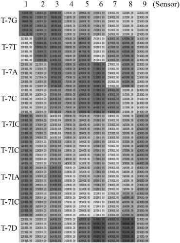 DNA (deoxyribonucleic acid) probe and method for detecting DNA single base mutation