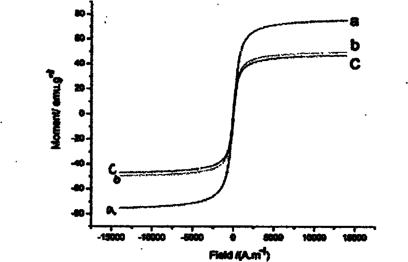 Water-soluble fluorescent magnetic nano particles and preparation method thereof