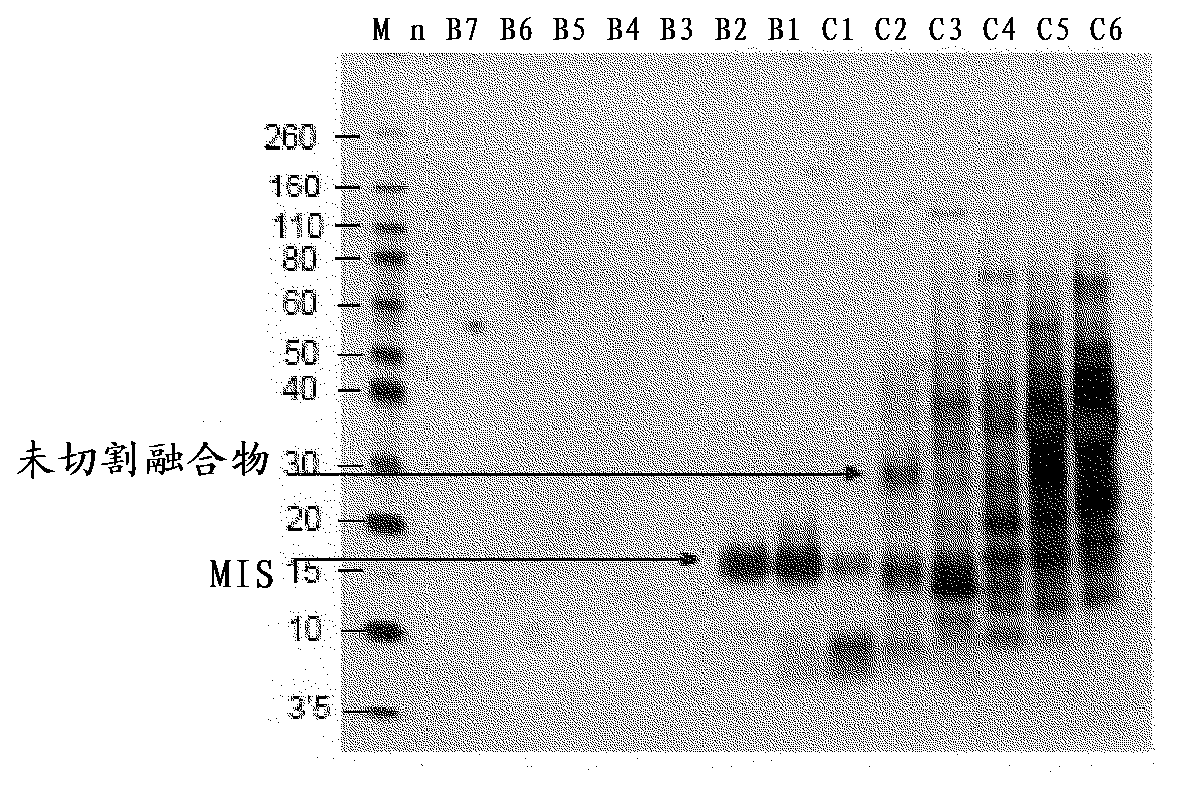 Method for producing mullerian inhibitor substance in plants