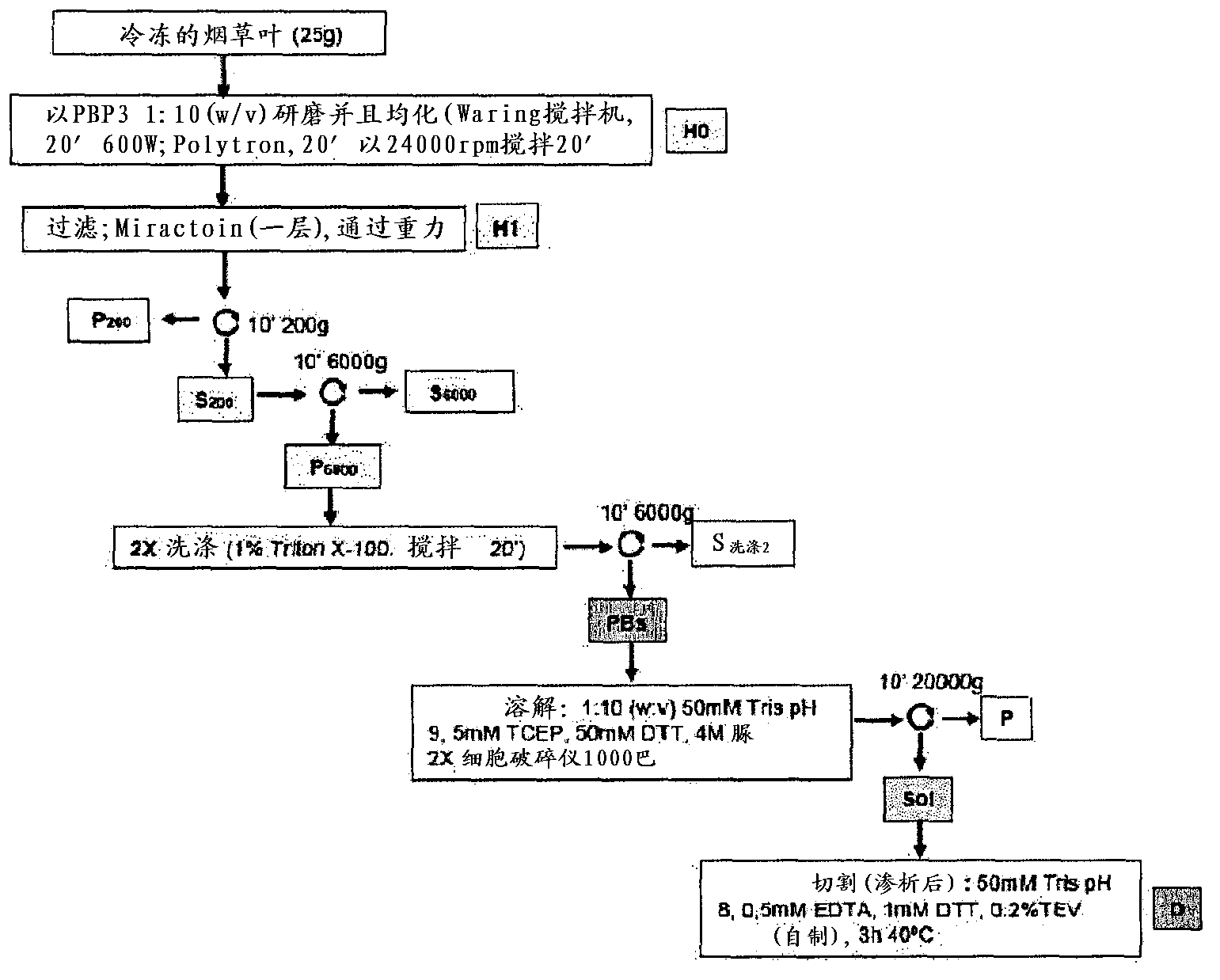 Method for producing mullerian inhibitor substance in plants