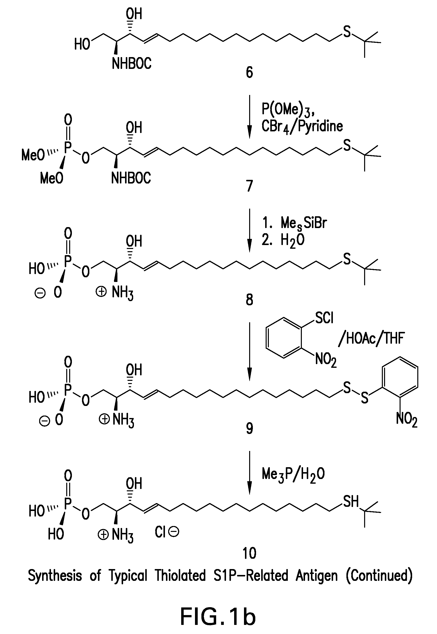 Methods and Reagents for Detecting Bioactive Lipids