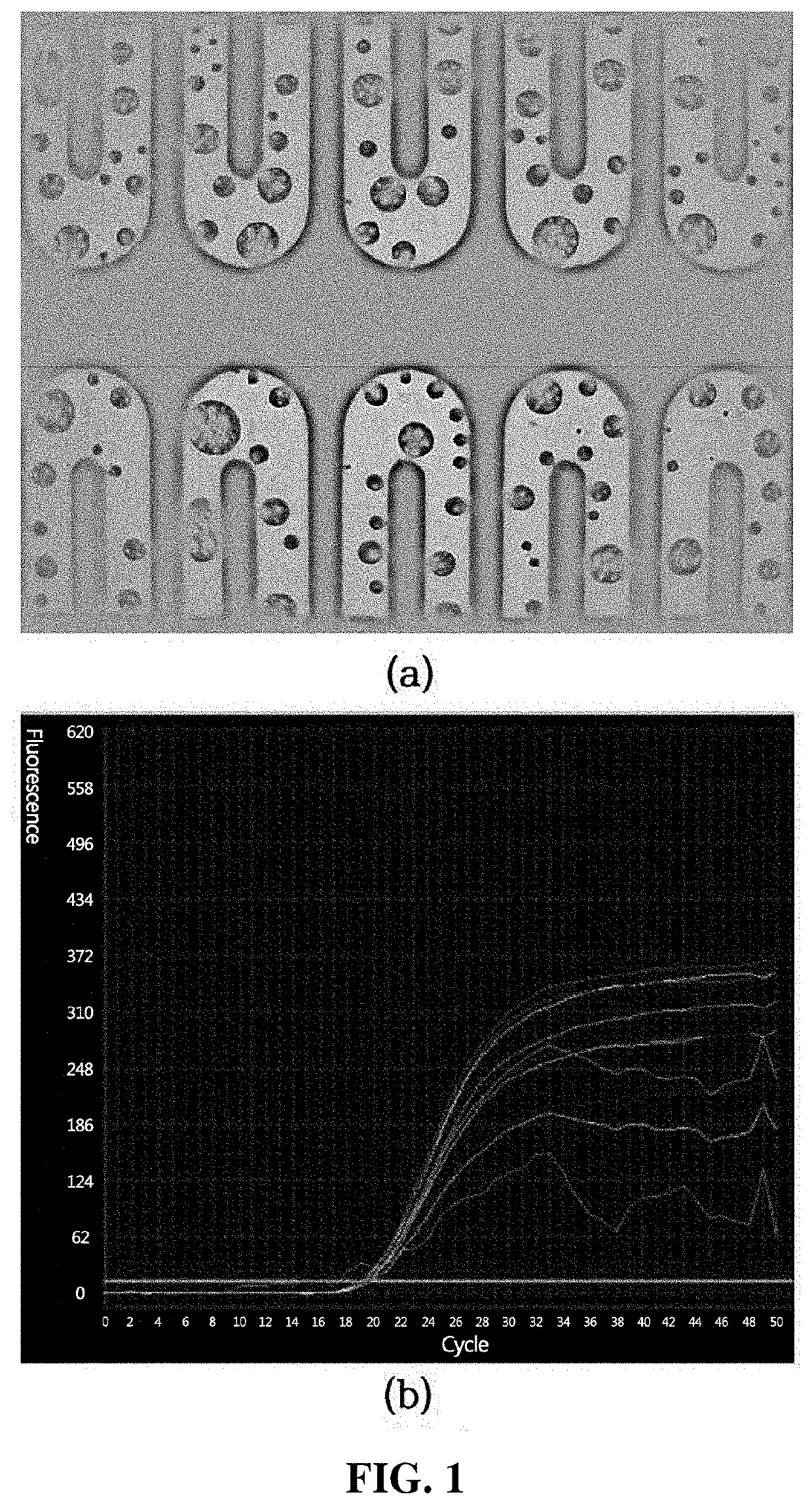 Inlet/outlet structure of microfluidic chip and method for sealing same