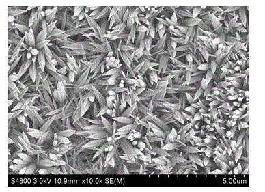 Method for preparing copper-based nanometer zinc oxide-polyvinylidene fluoride composite material