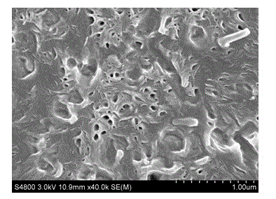 Method for preparing copper-based nanometer zinc oxide-polyvinylidene fluoride composite material