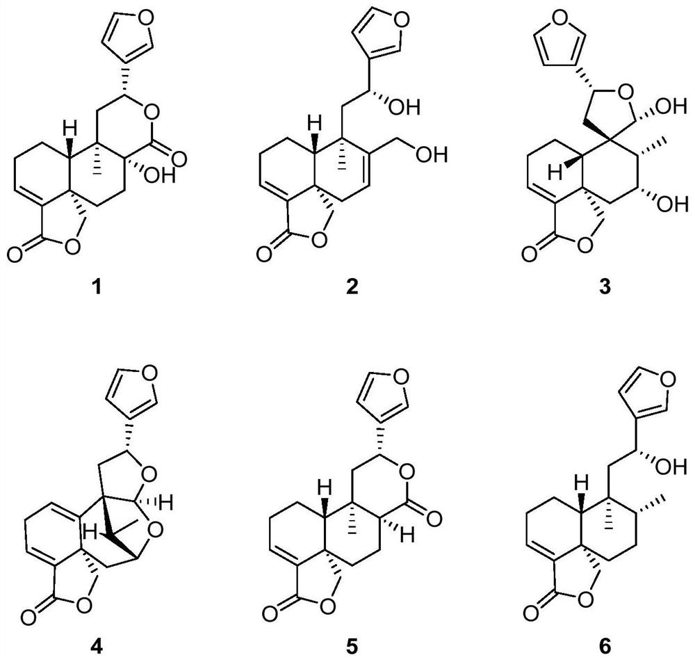 A class of Crotane-type diterpene compounds and their application in pharmacy