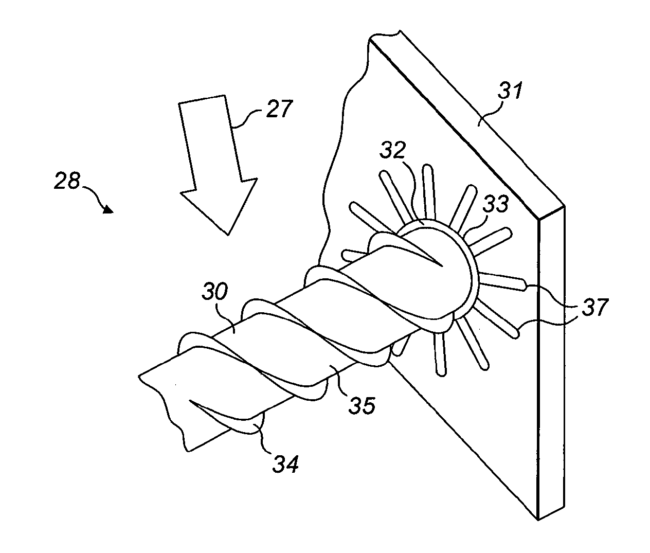 Biomaterial process and apparatus