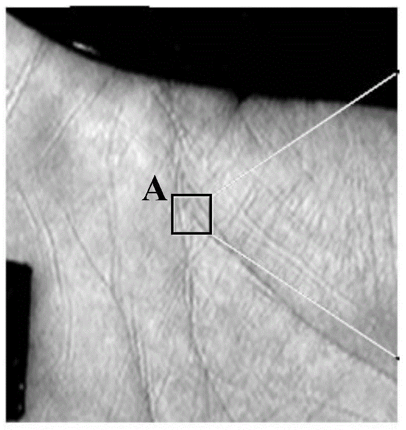 Palmprint identification method and palmprint identification system