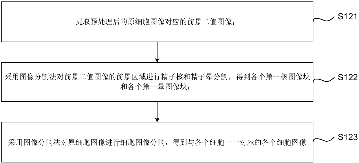 Sperm fragmentization rate detection method, device and method and readable storage medium