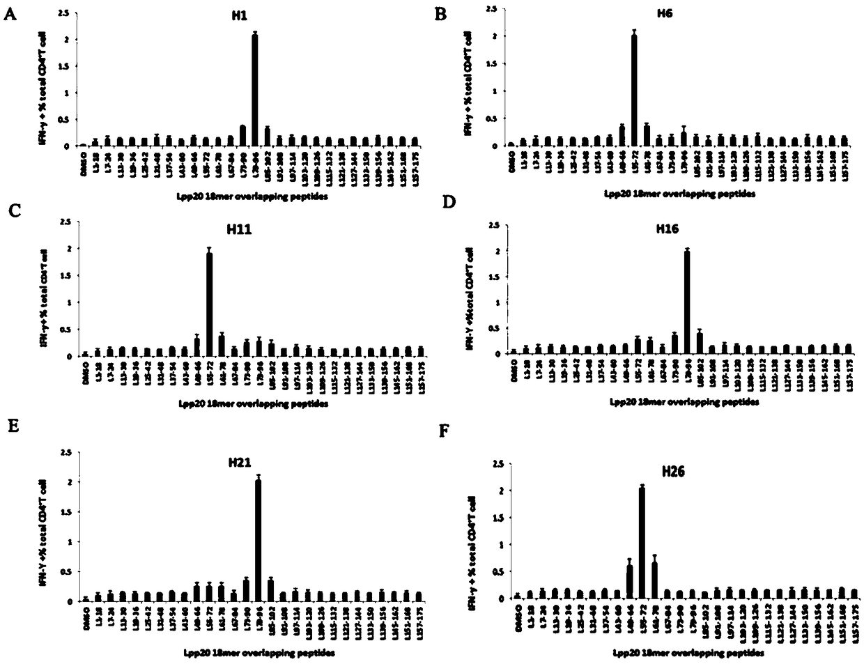 Helicobacter pylori immunodominant epitope peptide L79-96 and application of same