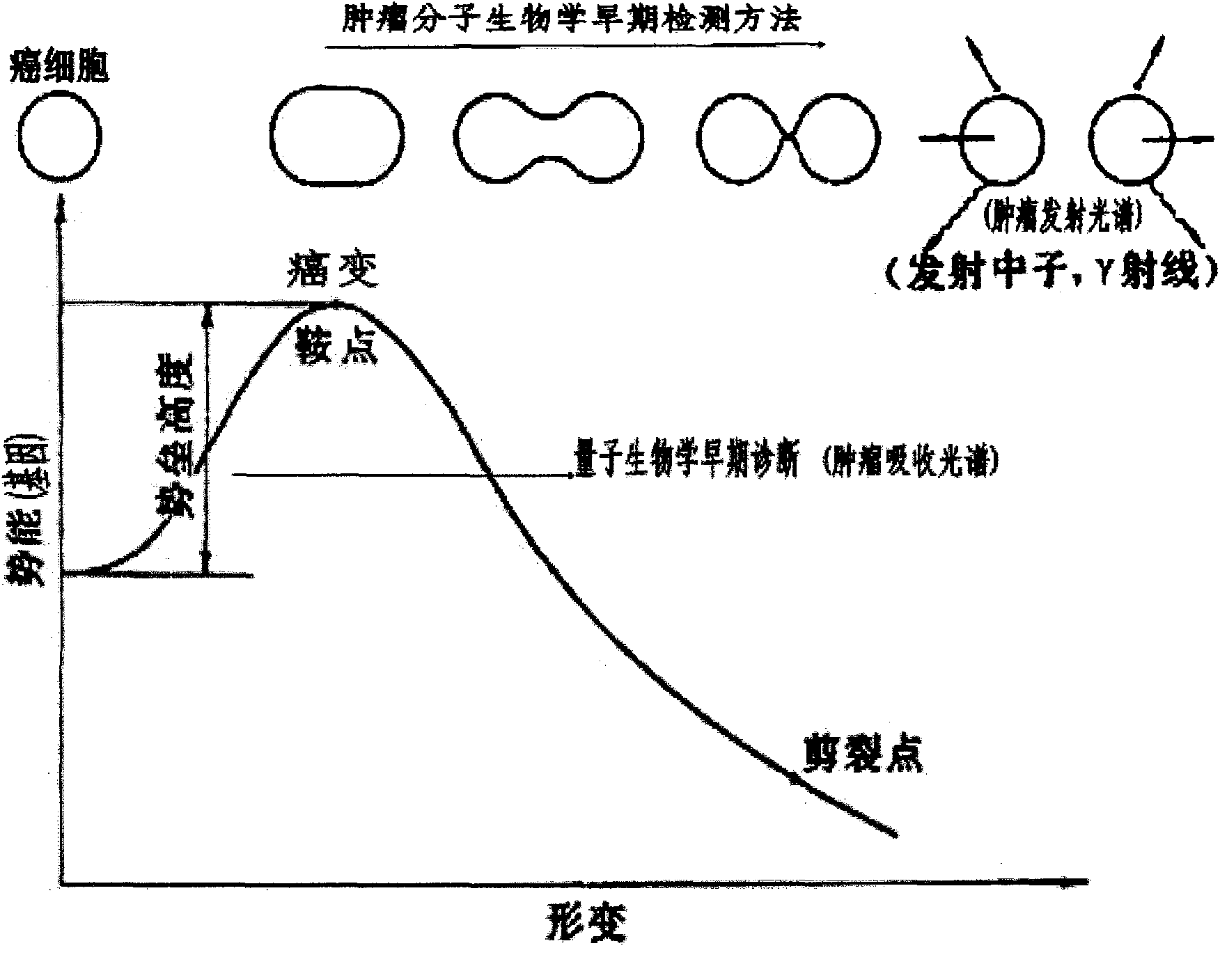 Tumor quantum biology early stage diagnosis-tumor ultraviolet absorption spectrum energy measurement technology