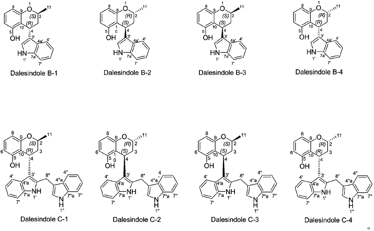 Polyketone indole alkaloid as well as preparation method and application thereof