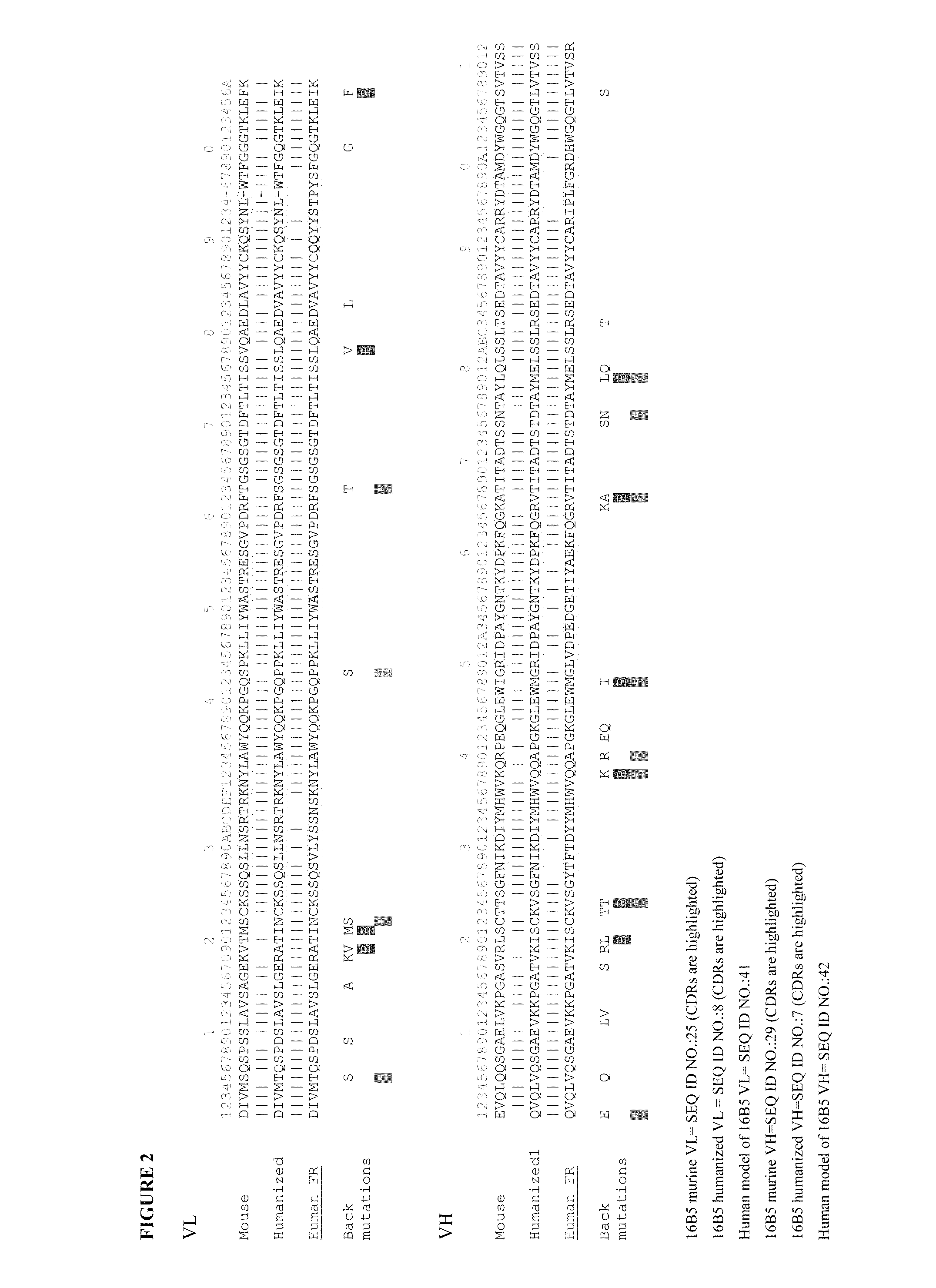 Anti-clusterin antibodies and antigen binding fragments and their use to reduce tumor volume