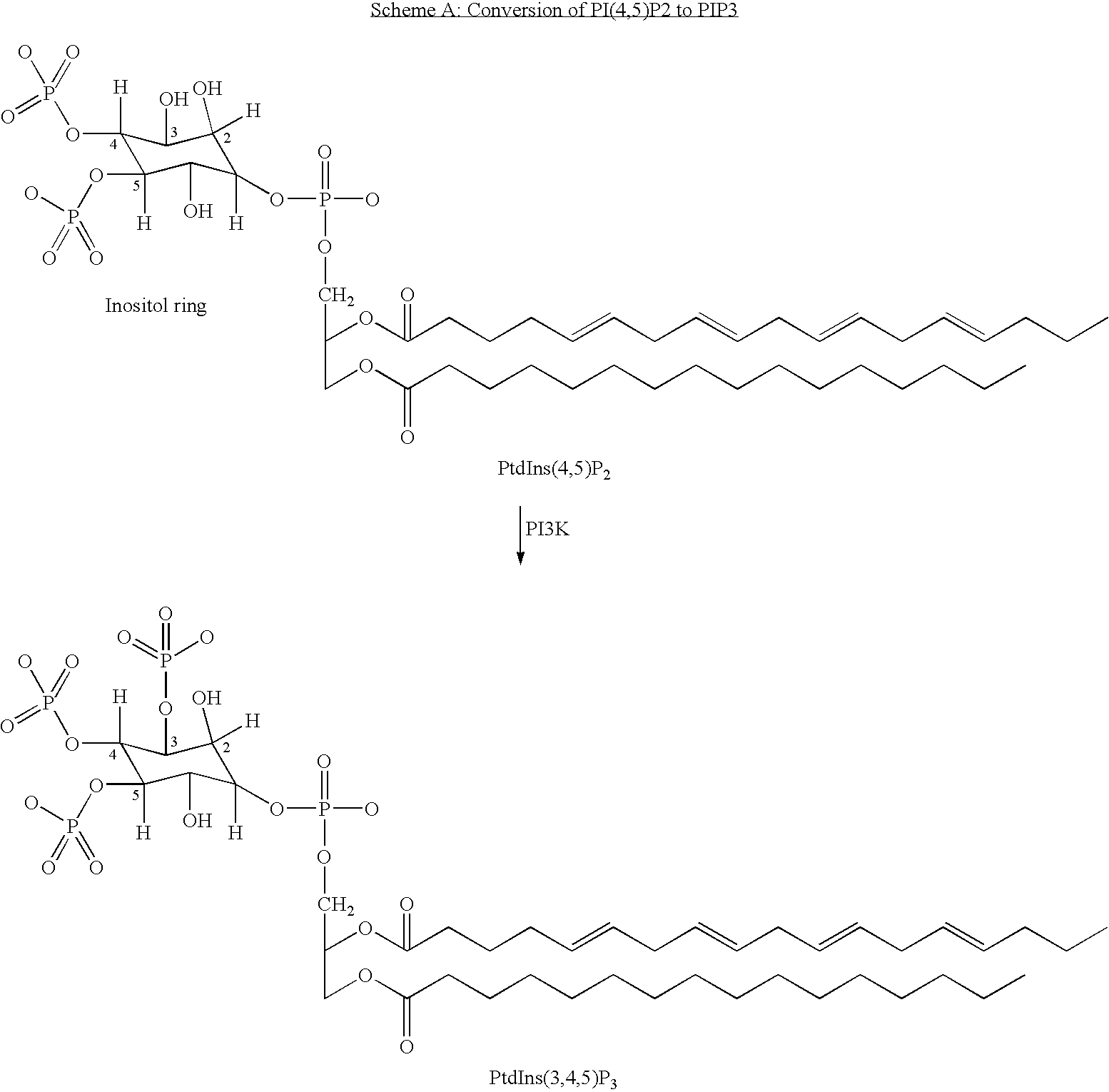 Quinoxaline derivatives as PI3 kinase inhibitors
