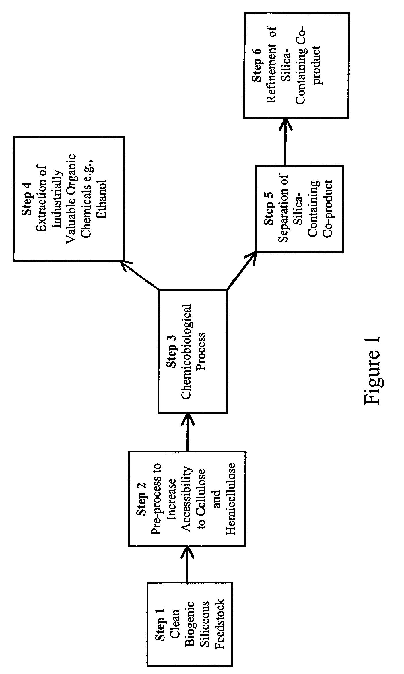 Methods for co-production of ethanol and silica from equisetum