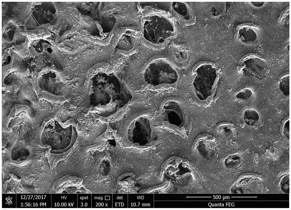 A traditional Chinese medicine silver titanate composite porous material for burn wound healing and its preparation method and application