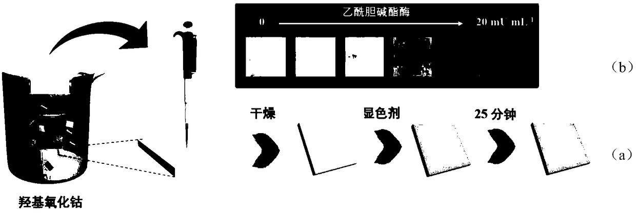 CoOOH NPs-based AChE activity detection test strip and preparation method thereof