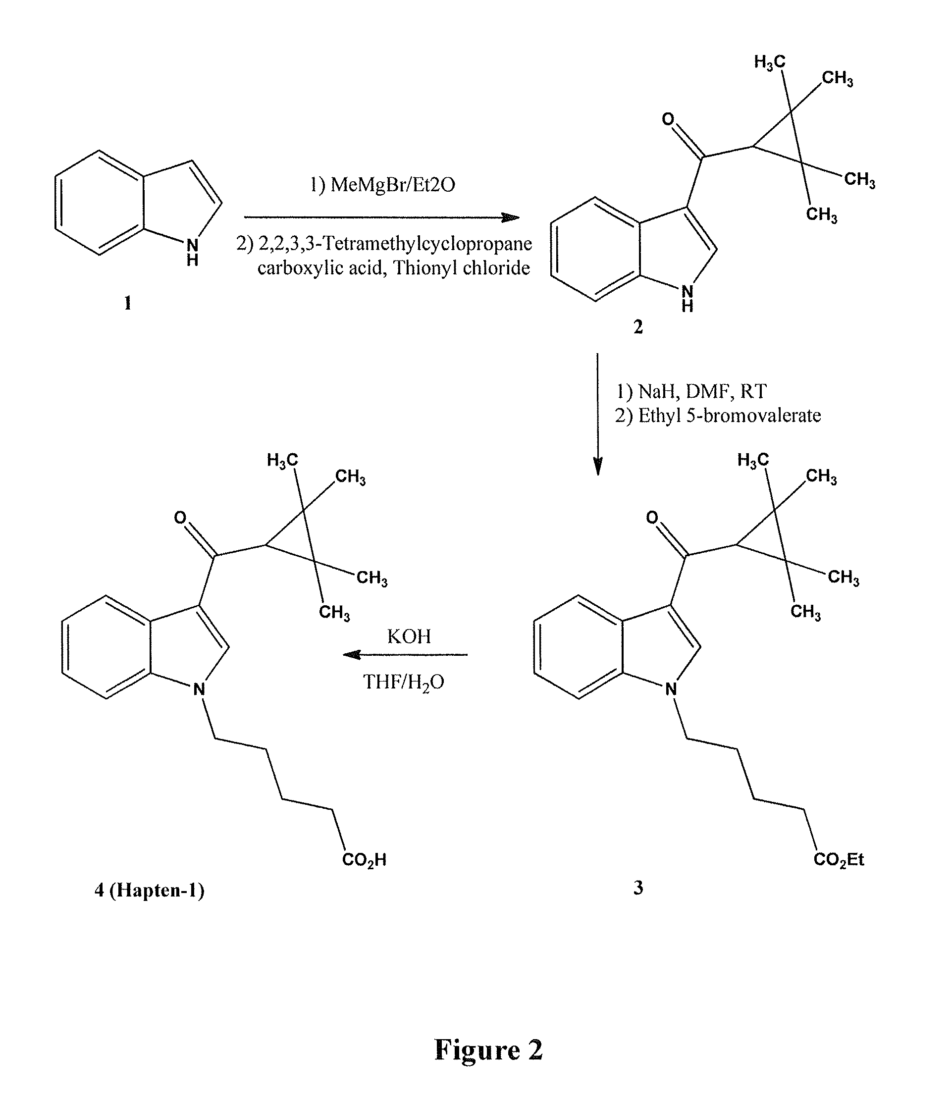 Immunoassay for cyclopropylindole based synthetic cannabinoids, metabolites and derivatives thereof