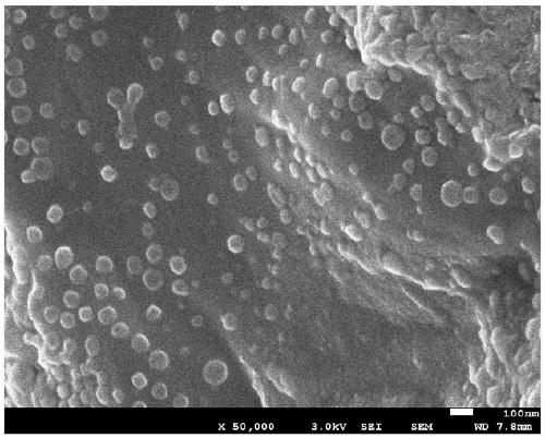 Environmentally friendly efficient anti-corrosion water-based coating and synthesis method thereof