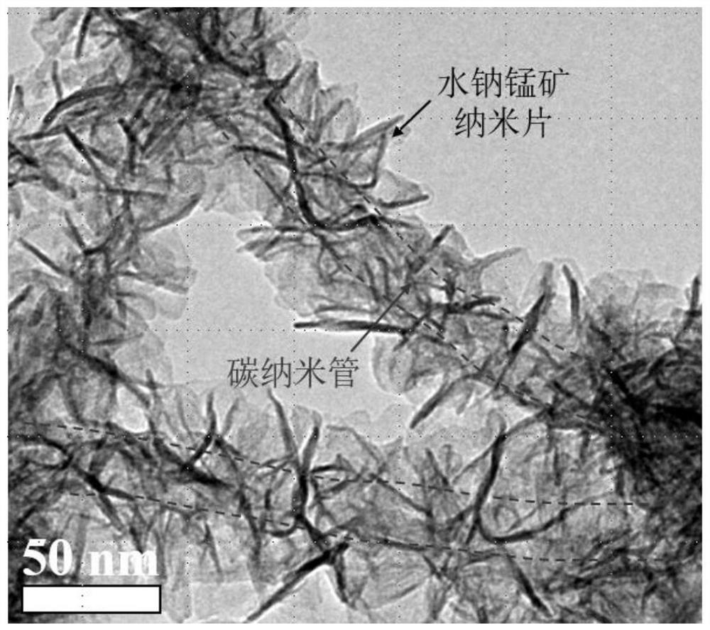 Carbon nanotube/birnessite/graphene composite positive electrode material with hierarchical structure, preparation method and application