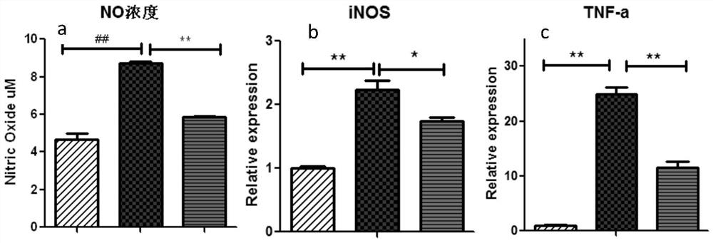 A kind of anti-inflammation active Phellinus polysaccharide shp and preparation method thereof