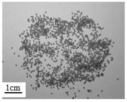 Hydrogel encapsulated bacterial spore self-repairing material with pH responsiveness and cement-based concrete self-repairing method