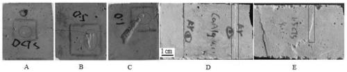 Hydrogel encapsulated bacterial spore self-repairing material with pH responsiveness and cement-based concrete self-repairing method