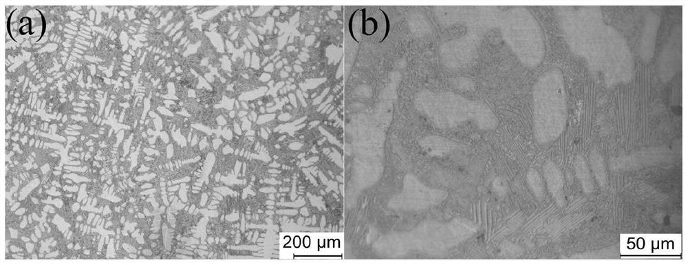 Quaternary hypoeutectic high-entropy alloy with good strong-plasticity matching and preparation method thereof