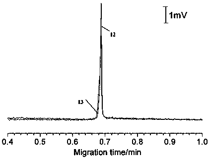 Technology using short capillary tube high-speed electrophoresis to detect miRNA in lung cancer cells