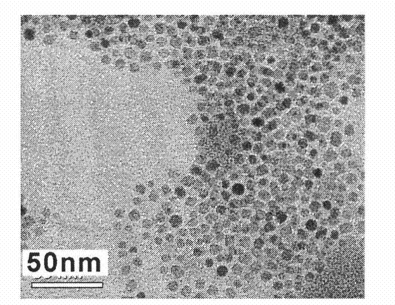 Method for preparing high magnetic resonance sensitivity ferroferric oxide nano-particle with tumor-targeting function