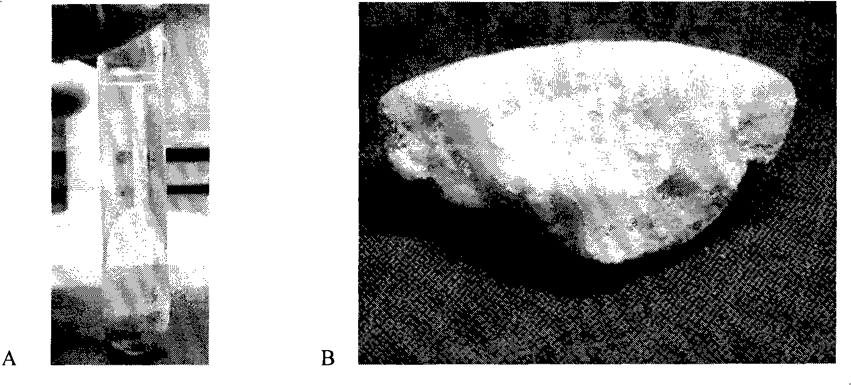 Microorganism cause concrete or concrete, producing method and application thereof
