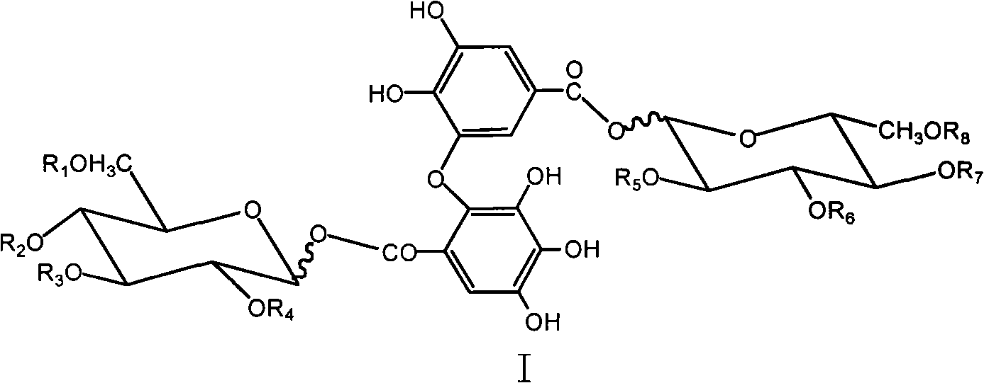 Use of dimer hydrolysable tannins derivative in preparing medicament and diet additive for treating obesity