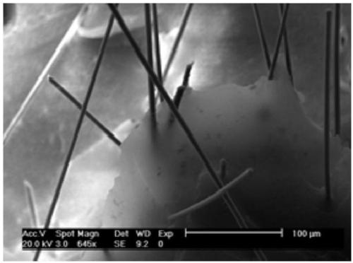 Quick preparation method of water glass based fiber reinforced SiO2 aerogel block