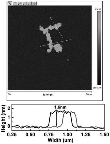 Hydrophobic cellulose nanosheet and preparation method thereof