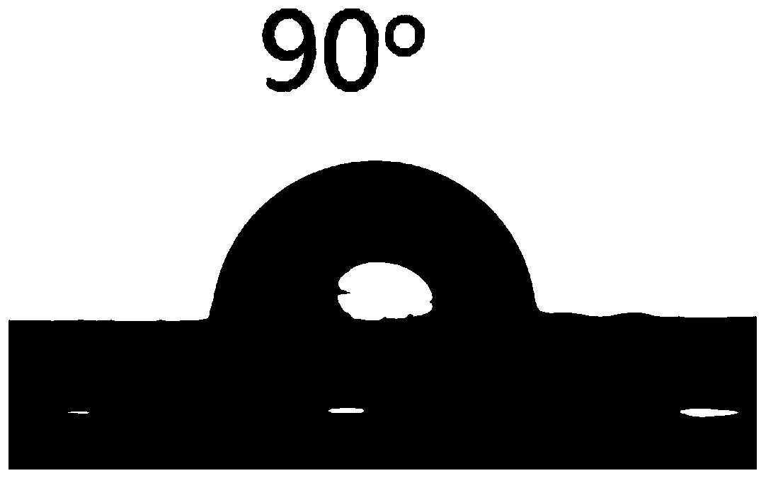 Hydrophobic cellulose nanosheet and preparation method thereof