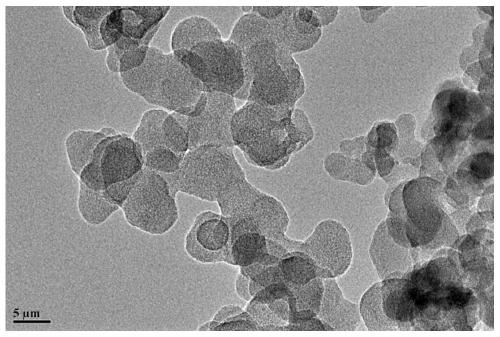 Hydrophobic cellulose nanosheet and preparation method thereof