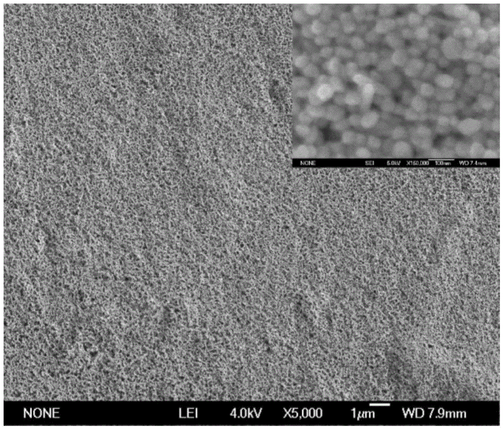 In-situ microextraction and portable Raman spectrometer combined method for determining polycyclic aromatic hydrocarbon