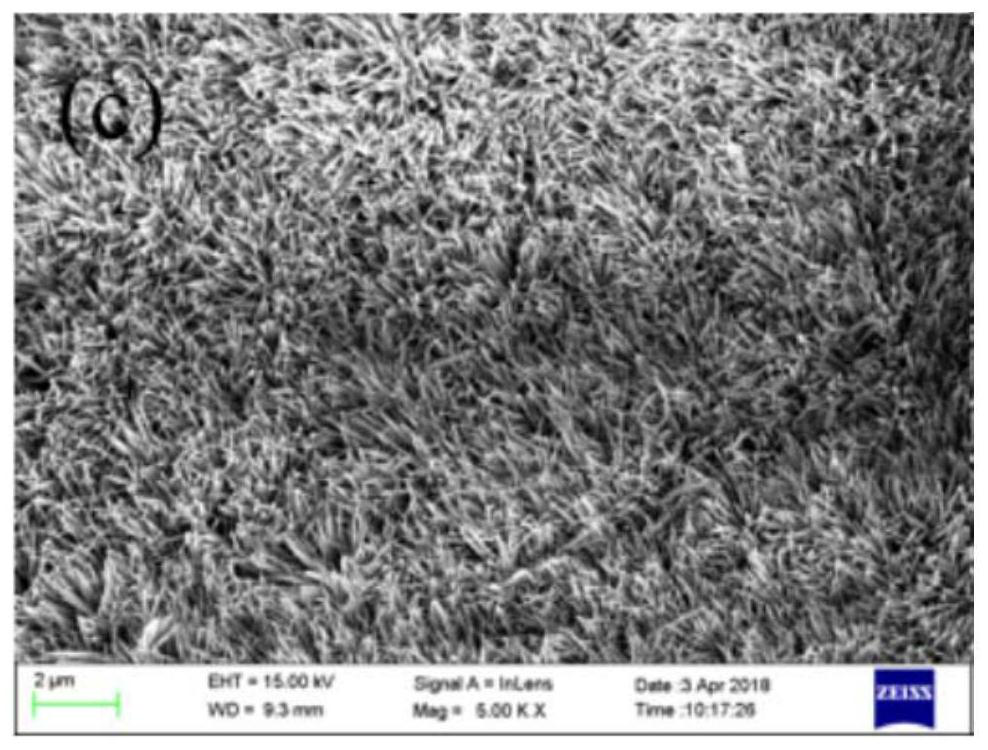 A kind of water rectification packing with surface micro-nano structure and preparation method thereof