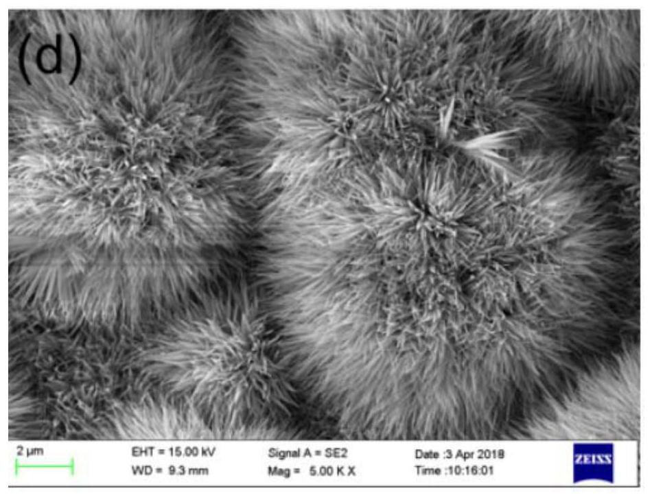 A kind of water rectification packing with surface micro-nano structure and preparation method thereof