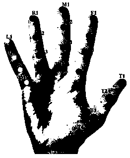 Method and system for dynamic gesture recognition