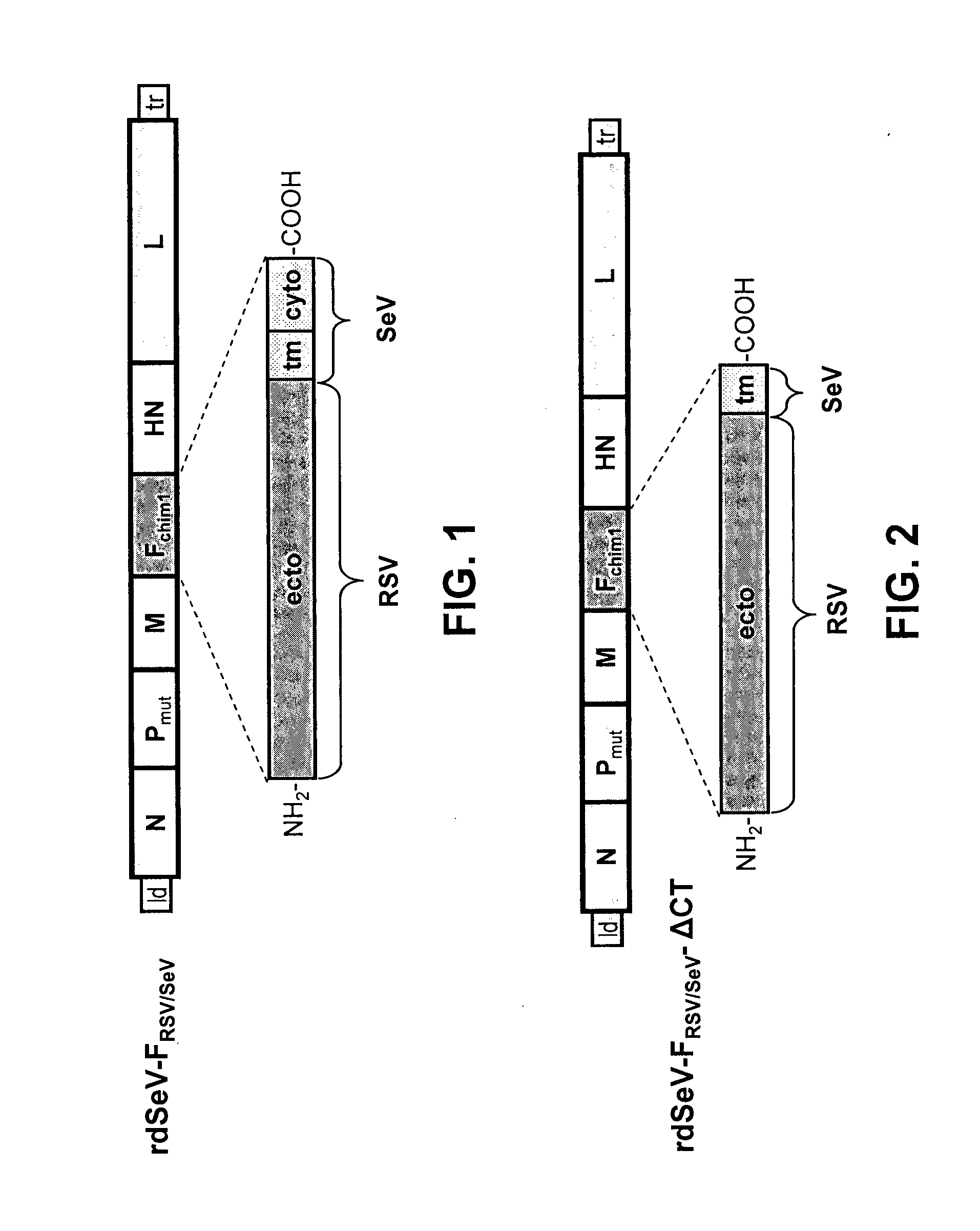 Semi-live respiratory syncytial virus vaccine