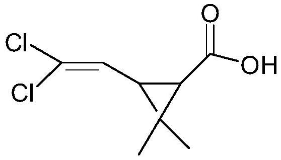 Method for preparing dextral cis-permethrinic acid