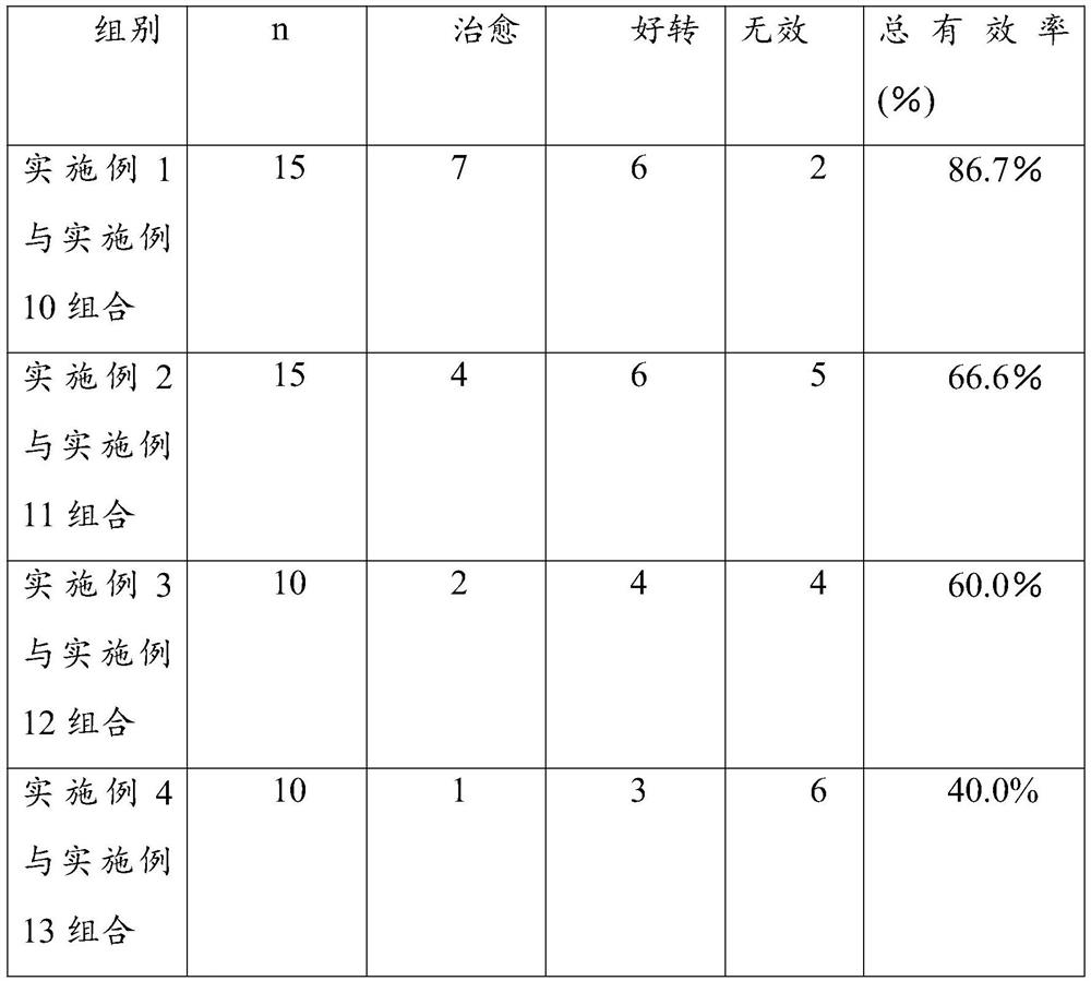 Periodic traditional Chinese medicine application for treating gynecological diseases and preparation method thereof