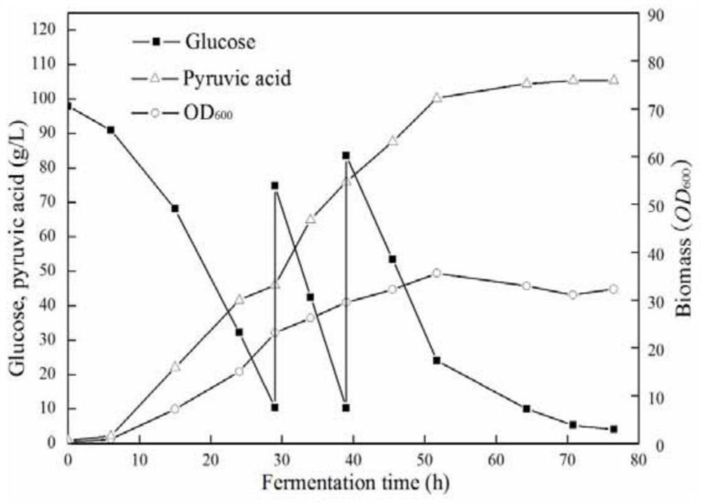 A kind of Saccharomyces cerevisiae engineered strain with high pyruvic acid production and fermentation method thereof