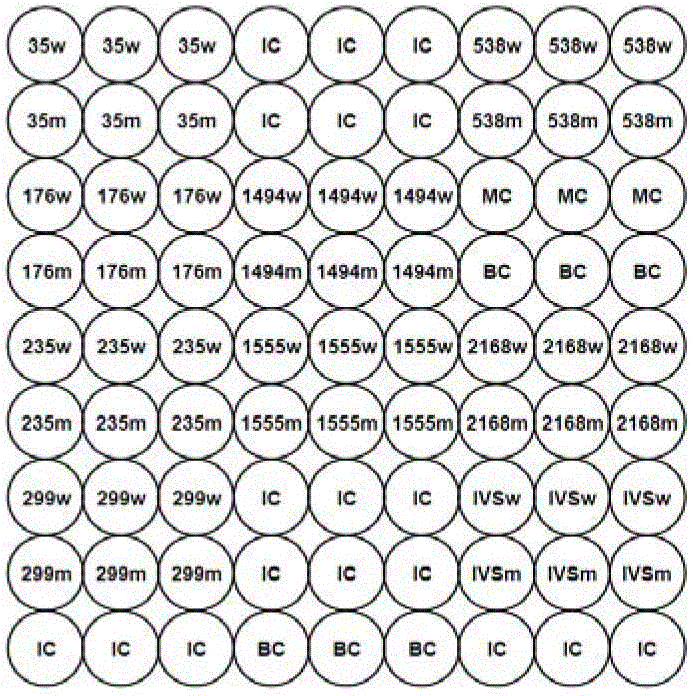 Hybridization system for real-time monitoring parsing process of micro array chip