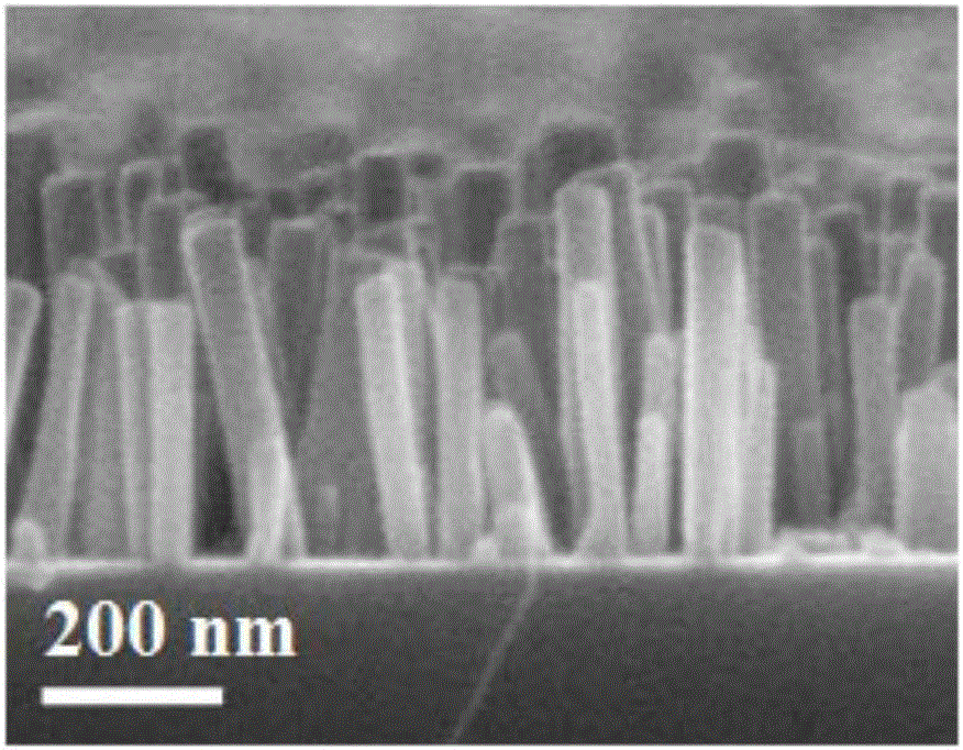 InN nanopillar epitaxial wafer growing on Si substrate and preparation method thereof